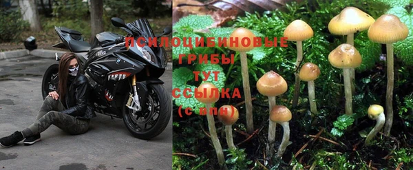 ешки Горнозаводск