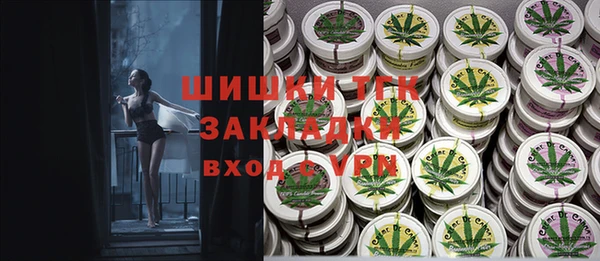 скорость Гусев