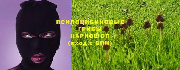 ALPHA-PVP Гусиноозёрск