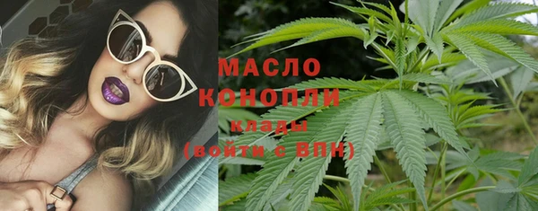 молекула духа Горняк