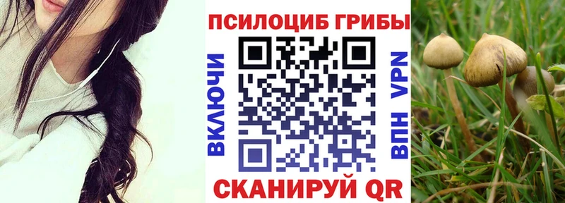 где найти   Дигора  KRAKEN ТОР  Галлюциногенные грибы MAGIC MUSHROOMS 